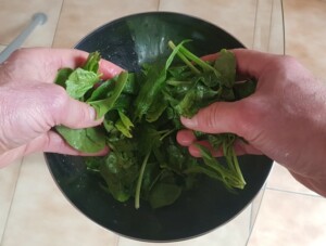 Carpaccio mangue avocat, jeunes pousses d’épinards - Instruction 4