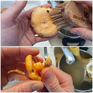 Fricot de Sanguins et de saucisses – Instruction 0 Fricot de Sanguins et de saucisses - Instruction 0