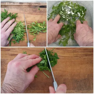 Fricot de champignons Sanguins aux saucisses – Instruction 4 Fricot de champignons Sanguins aux saucisses - Instruction 4