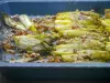 Endives rôties aux dattes et aux noix Endives rôties aux dattes et aux noix