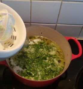 Curry de boeuf coriandre et citron vert - Instruction 7