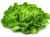 salade de saison