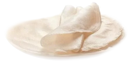 Feuille de brick