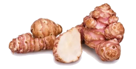 Topinambour