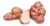 topinambour