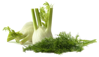 Image de fenouil