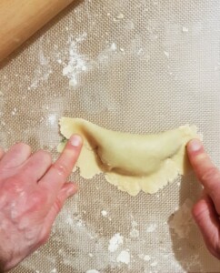Samosa aux épinards