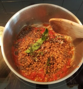 Lentilles sauce tomate