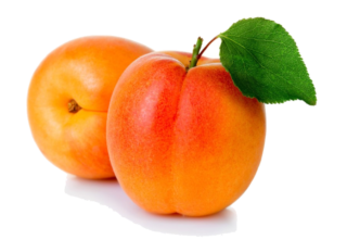 L&rsquo;abricot en cuisine : saison, diététique et préparation
