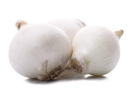 Oignon blanc