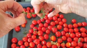 Tomates cerises confites - Instruction 3