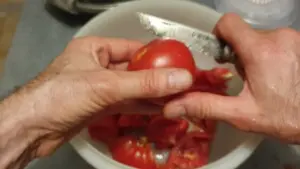 Le véritable Gazpacho Andalou – Instruction 0 Le véritable Gazpacho Andalou - Instruction 0