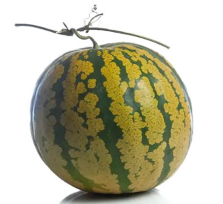 Image de citre