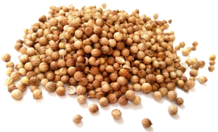 Coriandre en grains