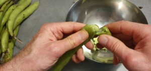 Cassolette de fèves à la crème et au chorizo - Instruction 0