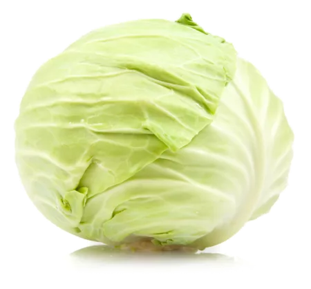 Chou vert