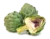 artichaut