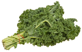 Le chou kale en cuisine : saison, diététique et préparation