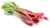 rhubarbe
