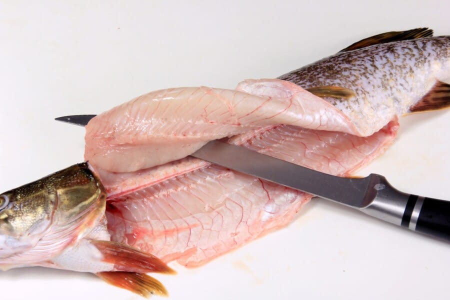 Le Couteau à filet de sole : Caractéristiques, Utilisation et Entretien