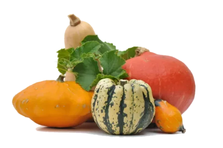 Cuisine d'automne