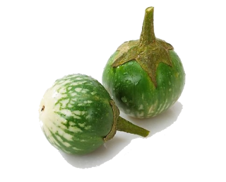 aubergine thaï