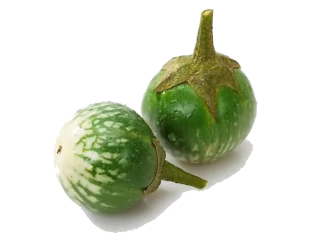 Aubergine Thaï