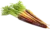 carotte arc-en-ciel