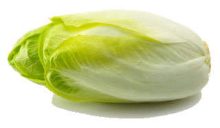 endive
