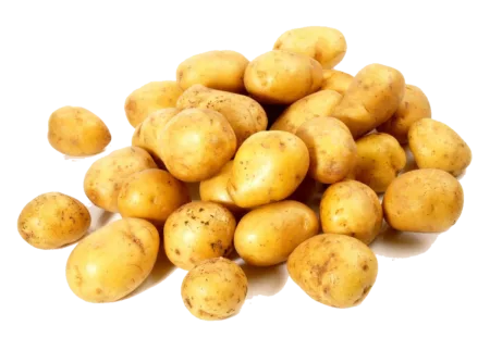 Pommes de terre grenaille