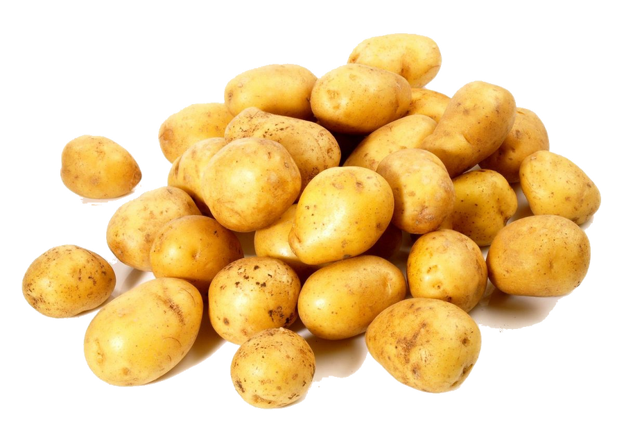 La pomme de terre grenaille en cuisine : saison, diététique et préparation La pomme de terre grenaille en cuisine : saison, diététique et préparation