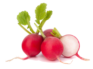 Image de radis