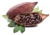 cacao maigre en poudre