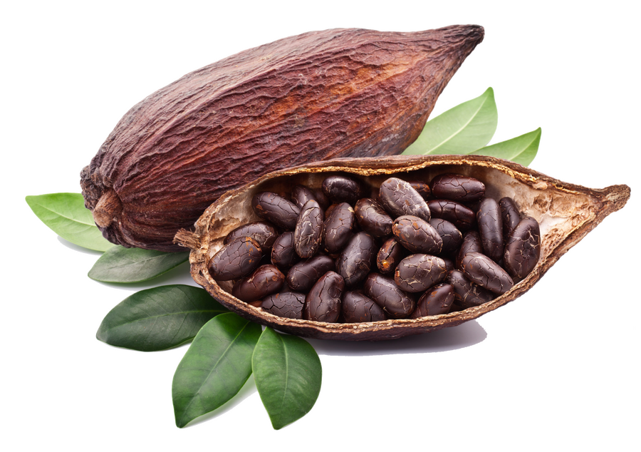 Le cacao en cuisine : origines, diététique et préparation