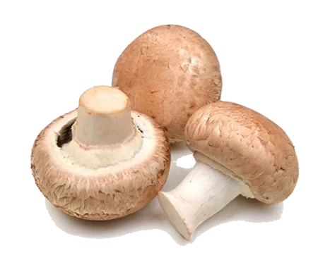 Champignons de Paris