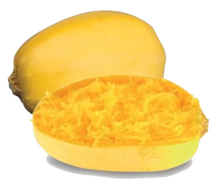 Courge "spaghetti"