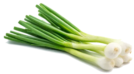 Oignon de printemps