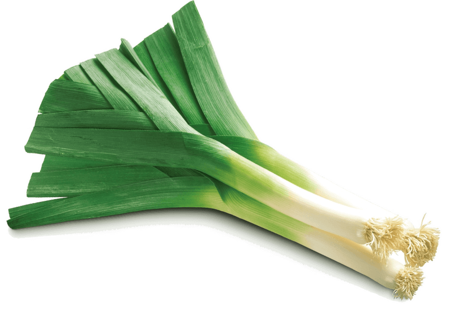 Le poireau en cuisine : saison, diététique et préparation
