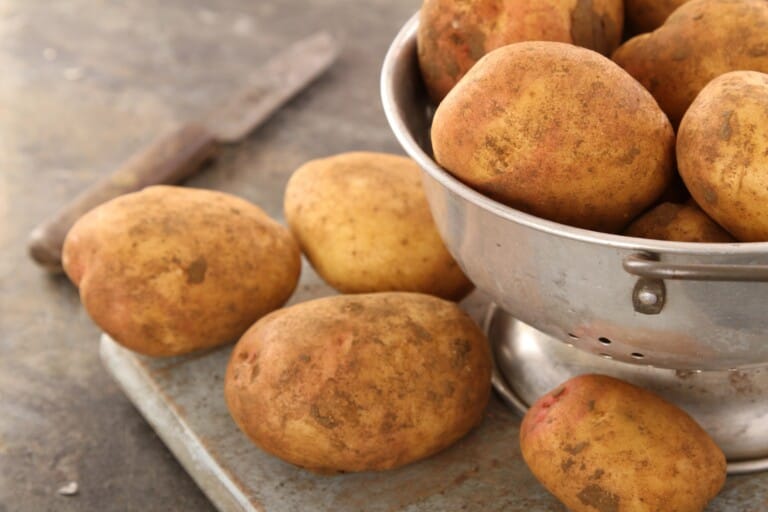 Comment choisir la bonne variété de pomme de terre Comment choisir la bonne variété de pomme de terre