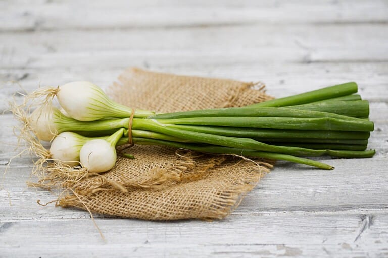 Cuisiner avec l’oignon nouveau au printemps Cuisiner avec l'oignon nouveau au printemps