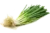 aillet