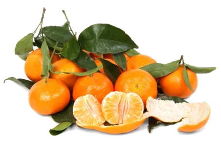 Clémentine