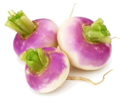 Navet