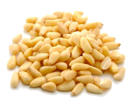 Pignons de pin