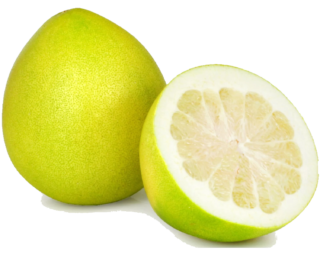 Les pomelos chinois en cuisine : saison, diététique et préparation