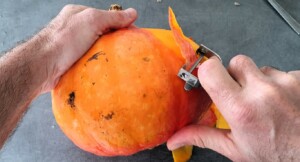 Tourte au Boeuf et Potimarron - Instruction 0
