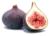 figue