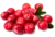 canneberges
