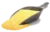 polenta