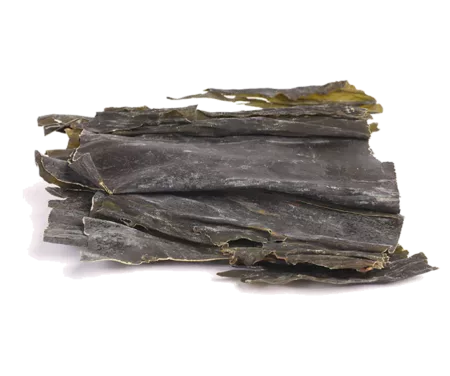Kombu